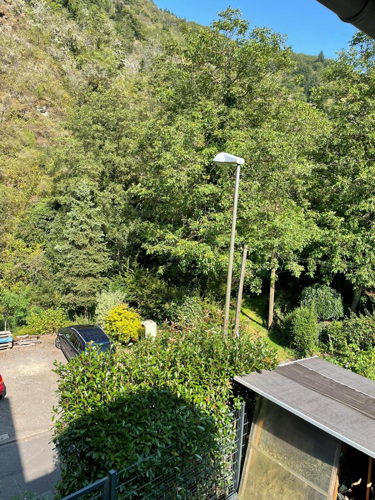 Deni'S Ferienwohnungen Klotten Exteriör bild