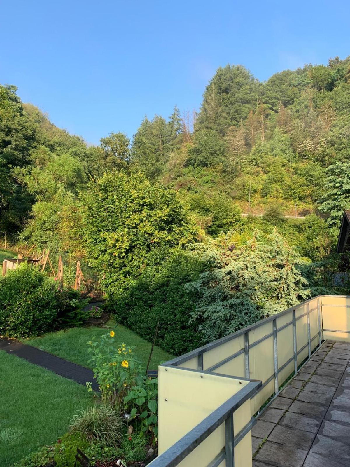 Deni'S Ferienwohnungen Klotten Exteriör bild