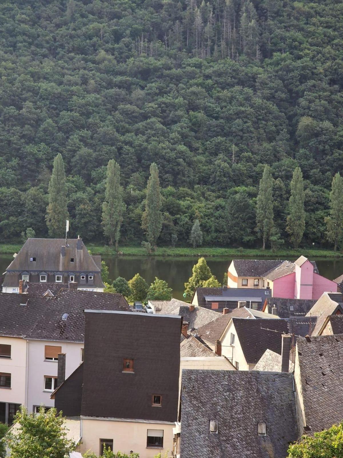 Deni'S Ferienwohnungen Klotten Exteriör bild