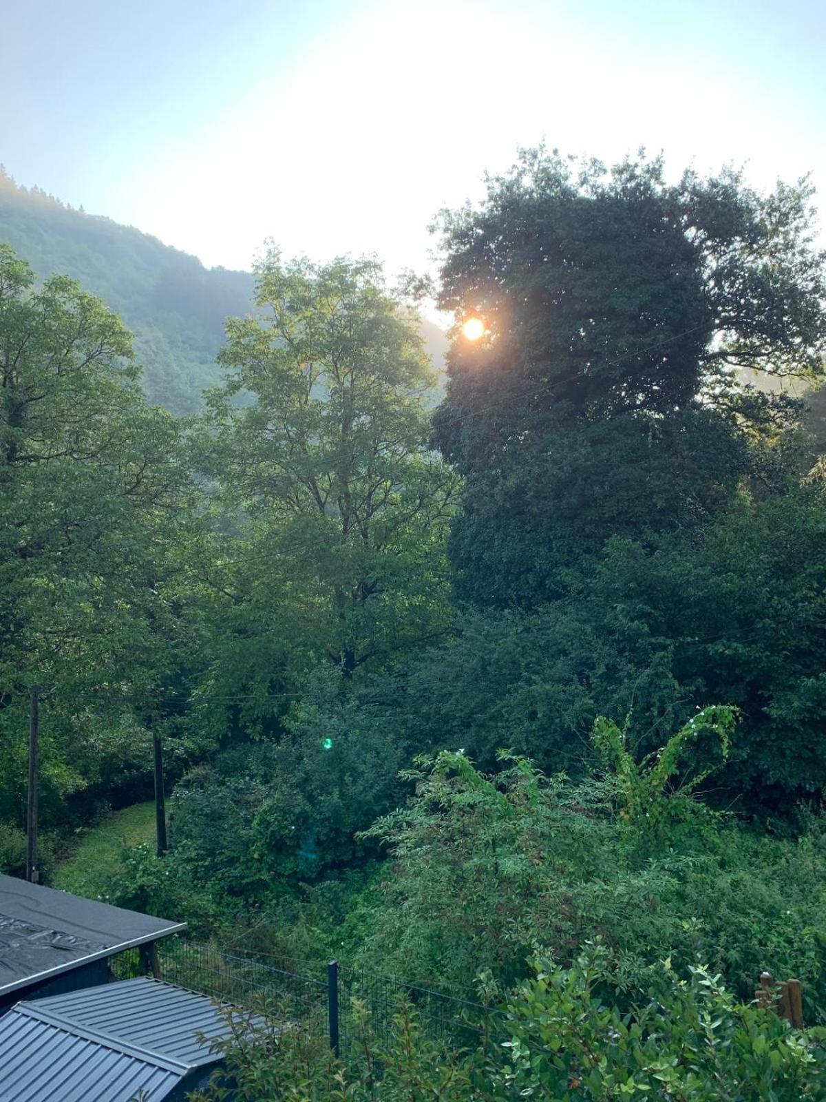 Deni'S Ferienwohnungen Klotten Exteriör bild