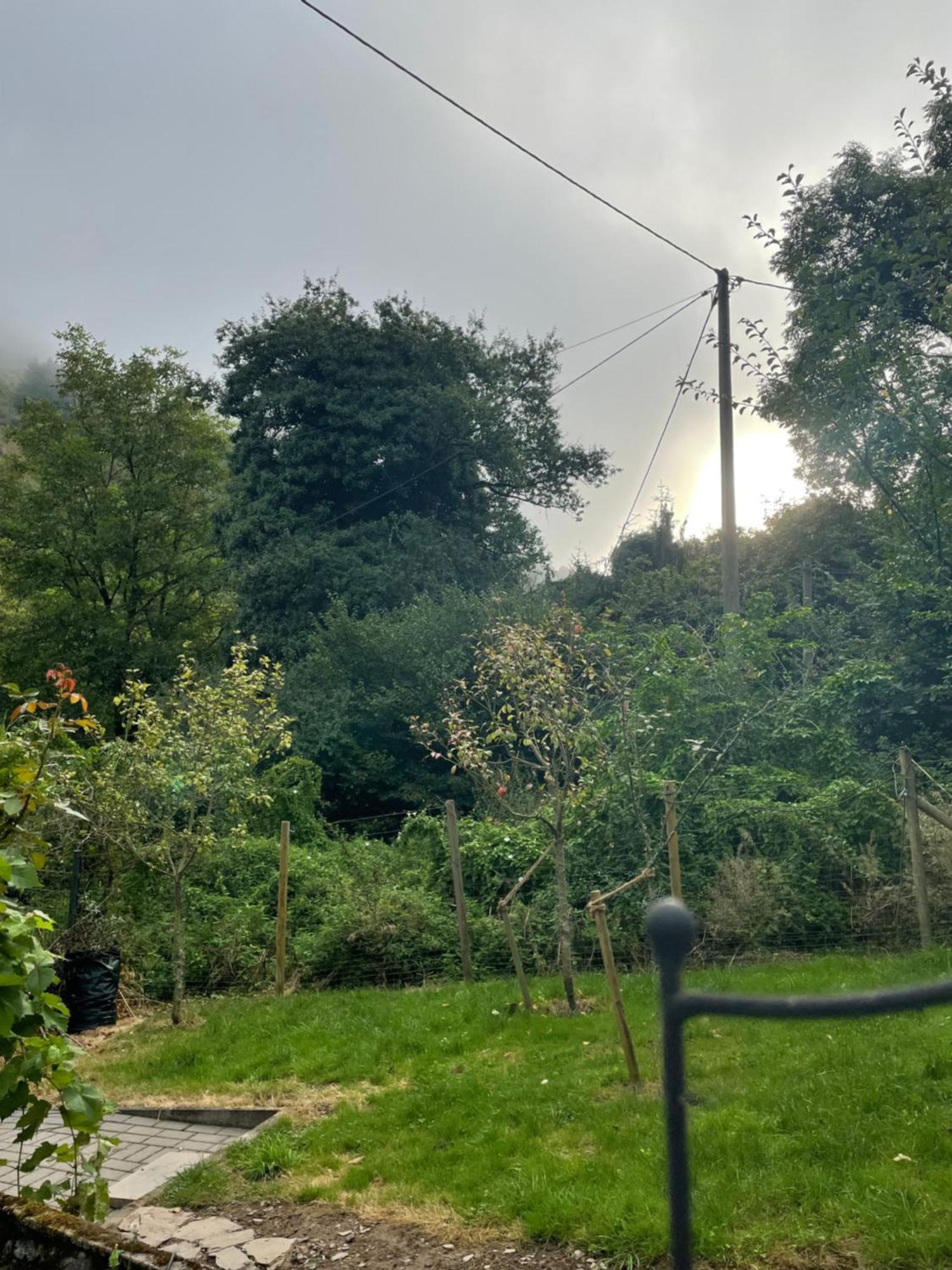 Deni'S Ferienwohnungen Klotten Exteriör bild