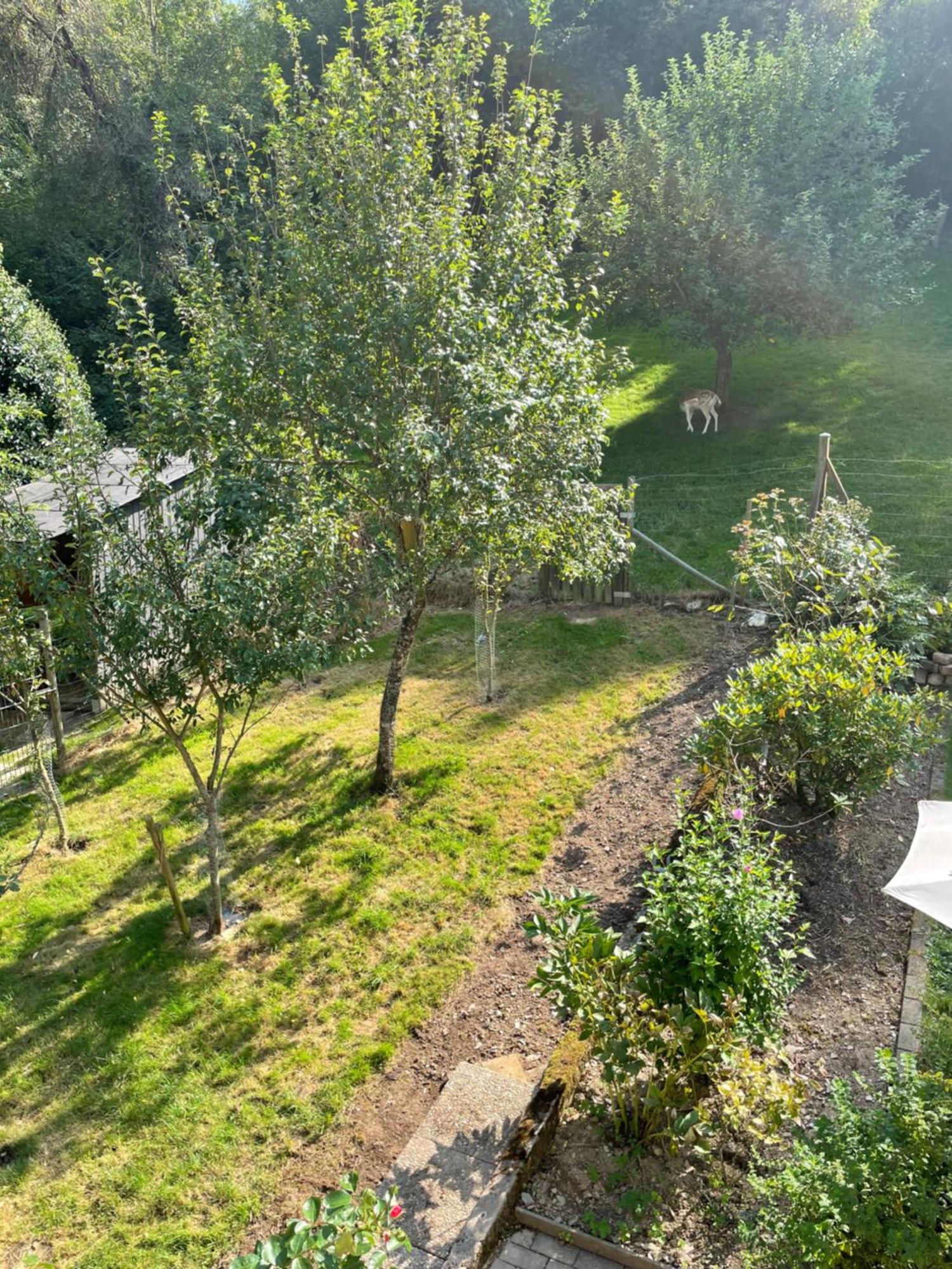 Deni'S Ferienwohnungen Klotten Exteriör bild
